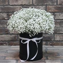Цветочная композиция из Гипсофила в шляпной коробке #REPLACE_PRED# Высоком