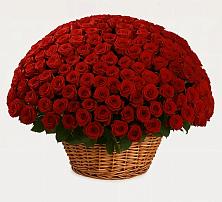 Премиум букет из: Розы в Высоком